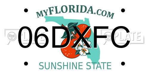 06DXFC Florida License Plate