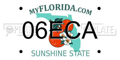 06ECA Florida License Plate