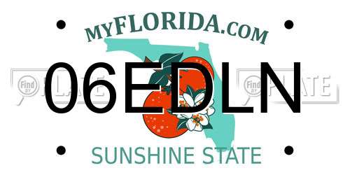 06EDLN Florida License Plate