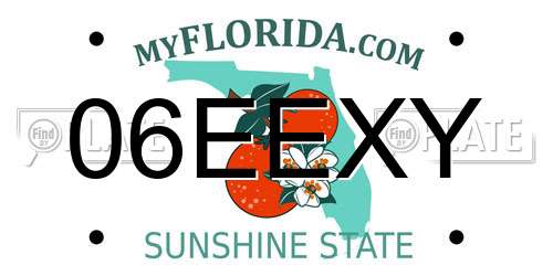 06EEXY Florida License Plate