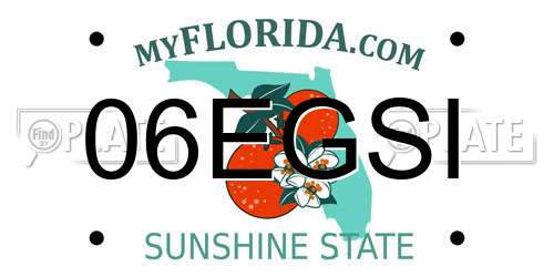06EGSI Florida License Plate