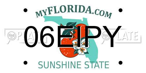 06EIPY Florida License Plate