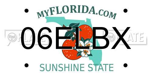 06ELBX Florida License Plate