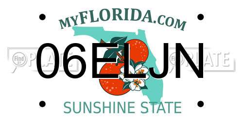 06ELJN Florida License Plate