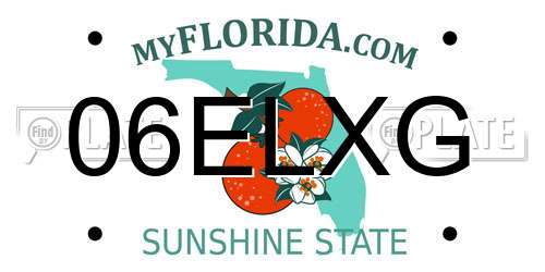 06ELXG Florida License Plate