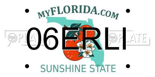 06ERLI Florida License Plate