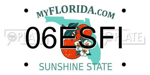 06ESFI Florida License Plate