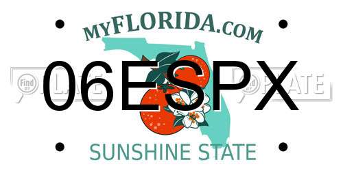 06ESPX Florida License Plate