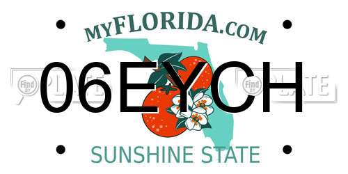 06EYCH Florida License Plate