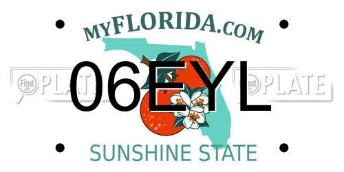 06EYL Florida License Plate