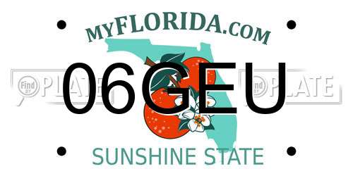 06GEU Florida License Plate