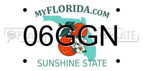 06GGN Florida License Plate