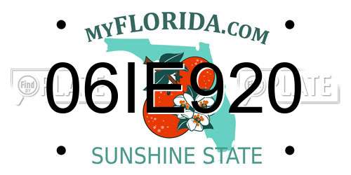 06IE920 Florida License Plate