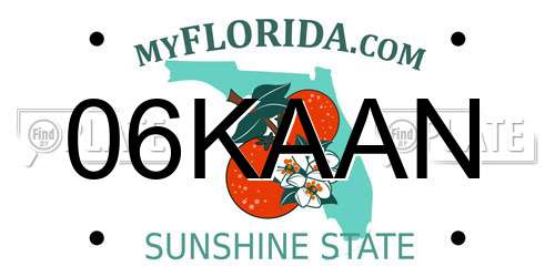 06KAAN Florida License Plate