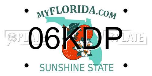 06KDP Florida License Plate