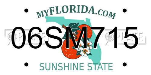 06SM715 Florida License Plate