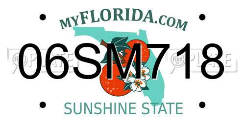 06SM718 Florida License Plate