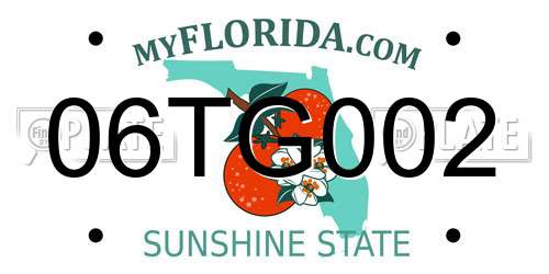 06TG002 Florida License Plate