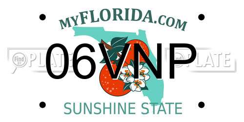 06VNP Florida License Plate