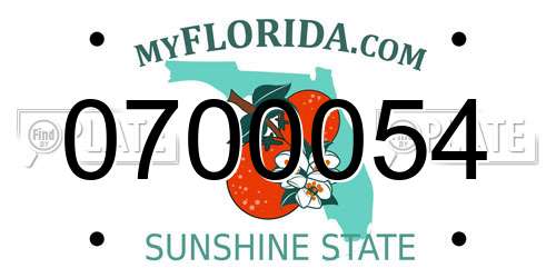 0700054 Florida License Plate