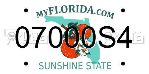 07000S4 Florida License Plate