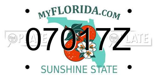 07017Z Florida License Plate
