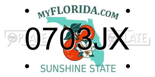 0703JX Florida License Plate