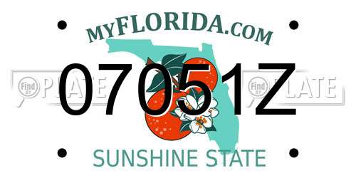 07051Z Florida License Plate
