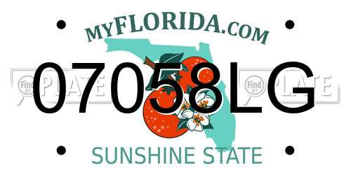 07058LG Florida License Plate