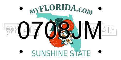 0708JM Florida License Plate