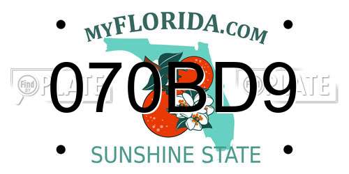 070BD9 Florida License Plate
