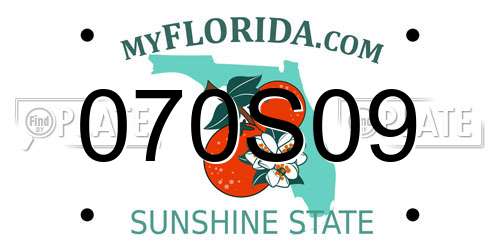 070S09 Florida License Plate