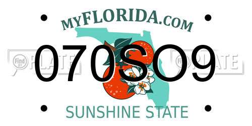 070SO9 Florida License Plate