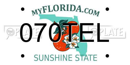070TEL Florida License Plate