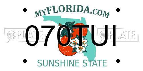 070TUI Florida License Plate