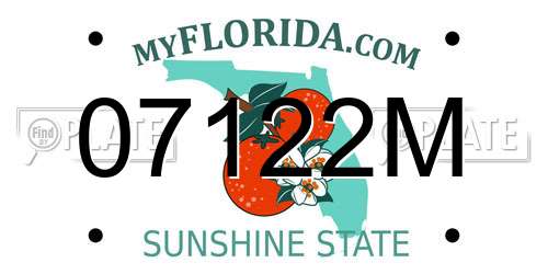 07122M Florida License Plate