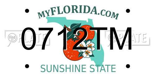 0712TM Florida License Plate