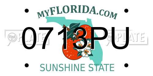 0713PU Florida License Plate