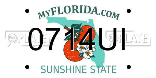 0714UI Florida License Plate