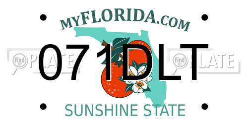 071DLT Florida License Plate