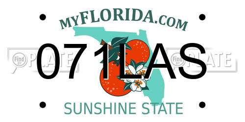 071LAS Florida License Plate