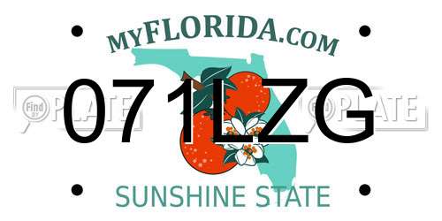071LZG Florida License Plate