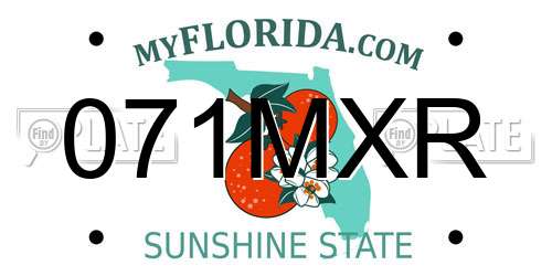 071MXR Florida License Plate