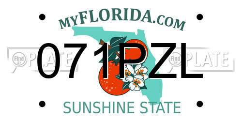 071PZL Florida License Plate