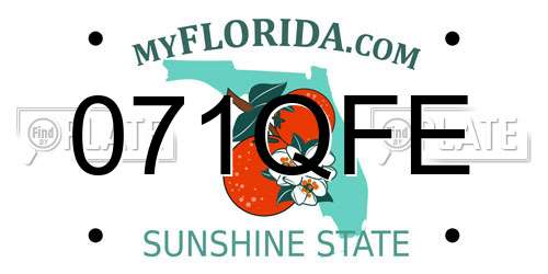 071QFE Florida License Plate