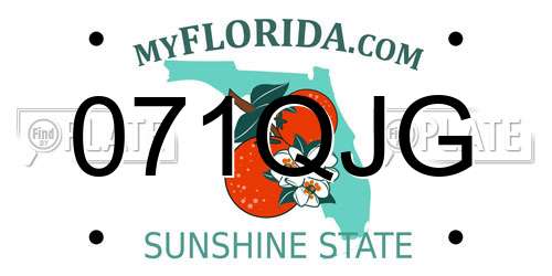 071QJG Florida License Plate