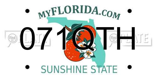 071QTH Florida License Plate