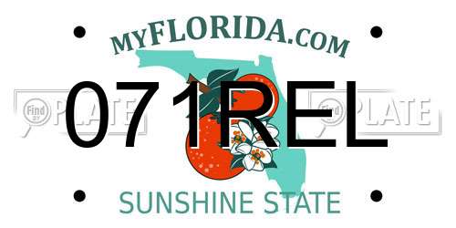 071REL Florida License Plate
