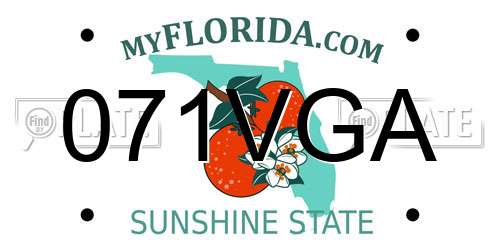 071VGA Florida License Plate