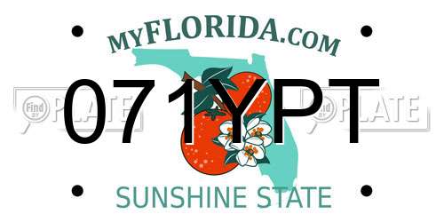 071YPT Florida License Plate